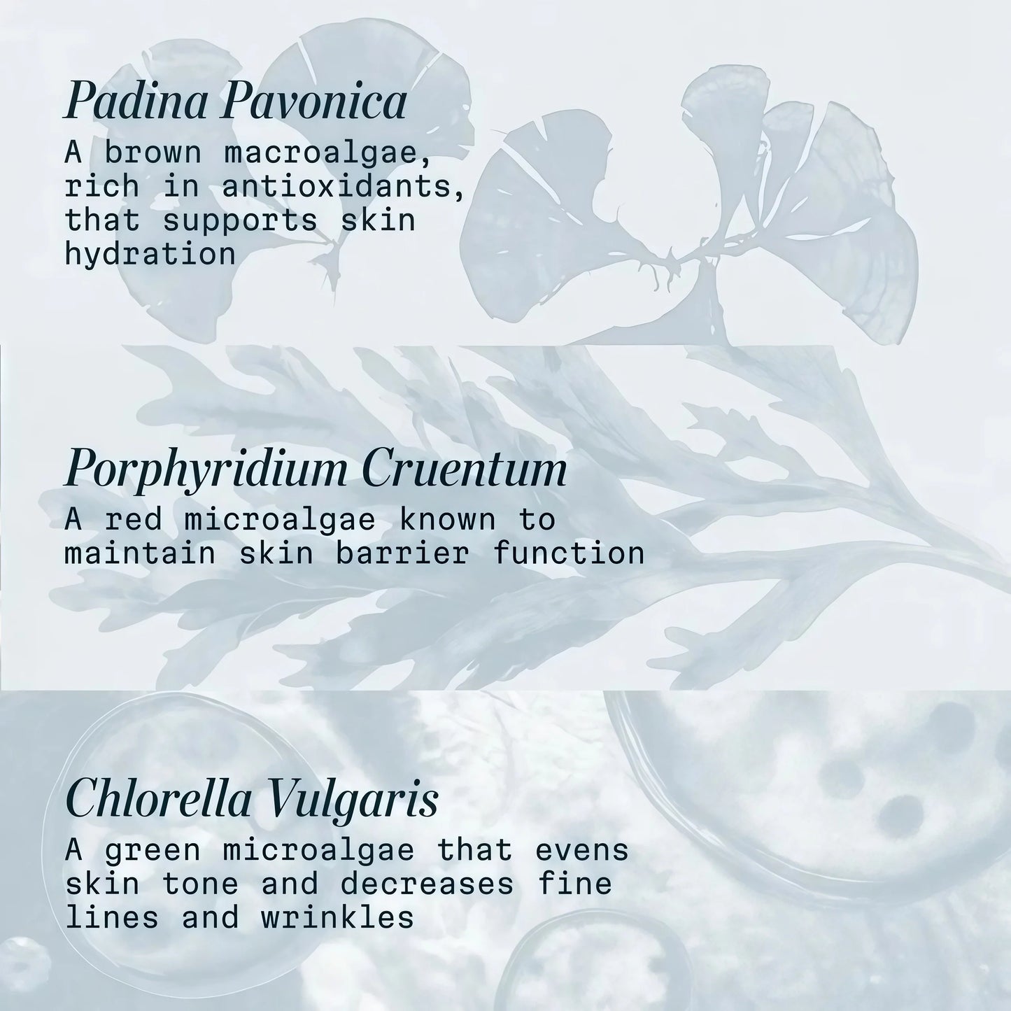 ELEMIS Pro-Collagen Marine Cream SPF 30, Lightweight Anti-Wrinkle Daily Facial Moisturizer