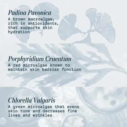 ELEMIS Pro-Collagen Marine Cream SPF 30, Lightweight Anti-Wrinkle Daily Facial Moisturizer